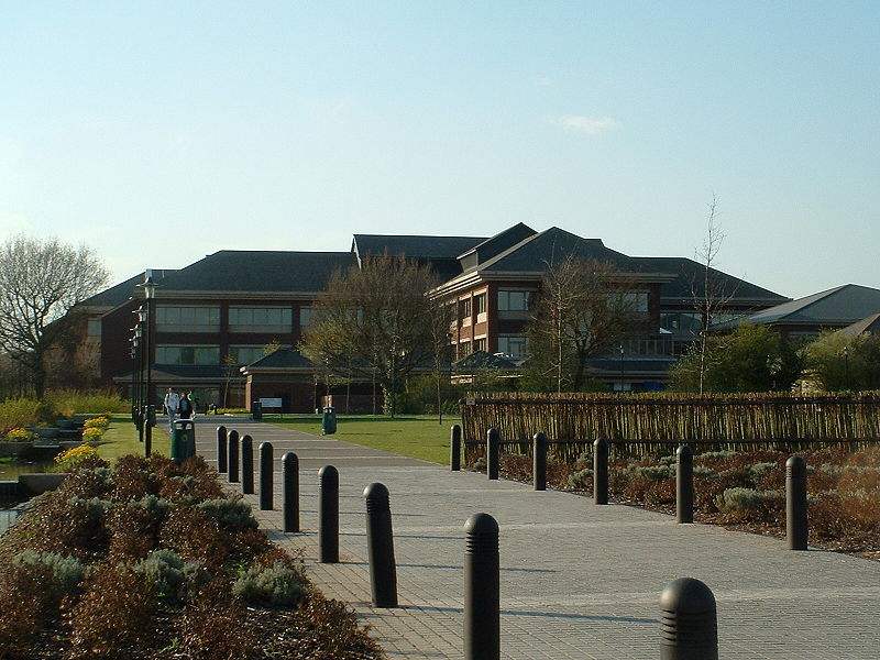 英国野鸡大学