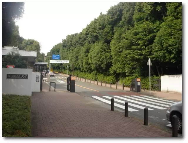 日本留学,日本读研