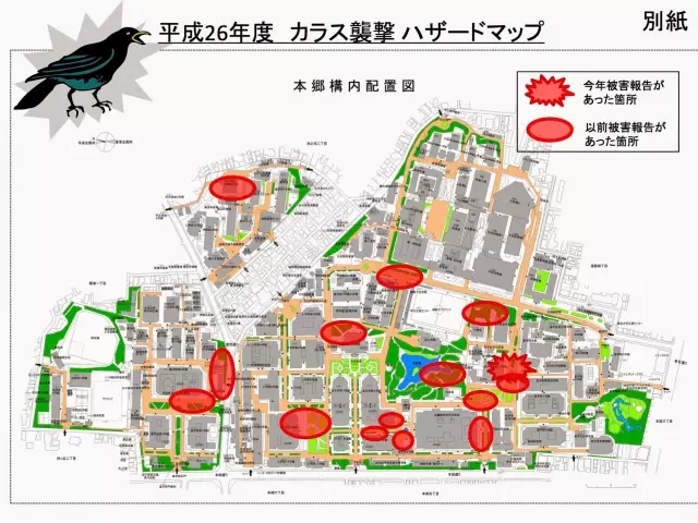 日本留学,日本读研