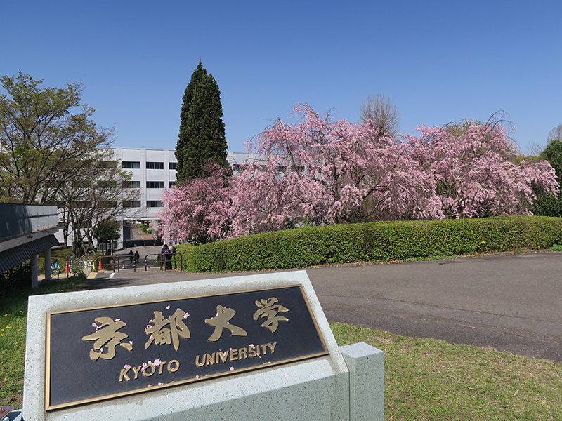 日本留学,日本读研