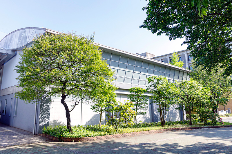 日本留学,日本读研