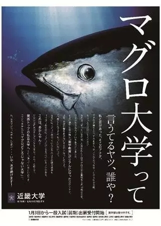 日本留学,日本读研