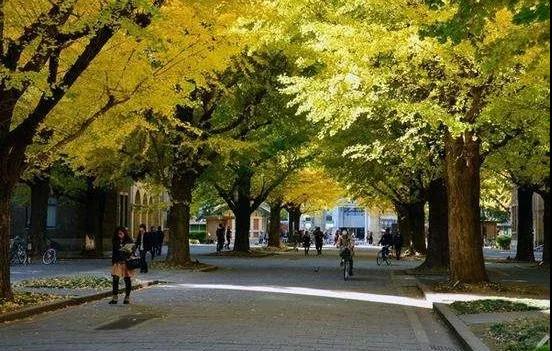 早稻田大学